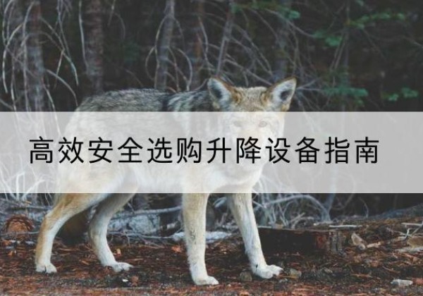含山升降货梯厂家推荐-*安全选购升降设备指南
