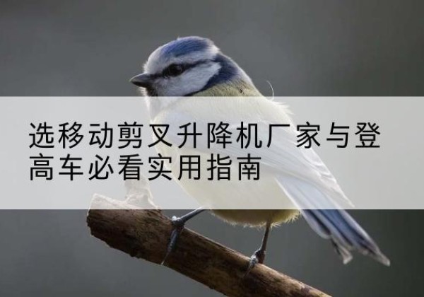 含山电动升降机厂家-选移动剪叉升降机厂家与登高车必看实用指南