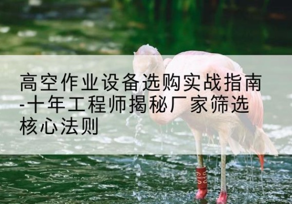 含山剪叉式升降机厂家-高空作业设备选购实战指南-十年工程师揭秘厂家筛选核心法则